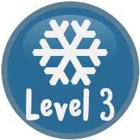 Level three prize Badge