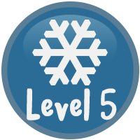 Level 5 Badge Badge